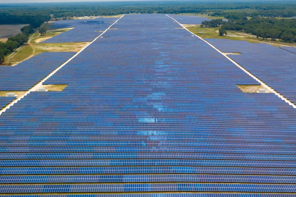 The Great Decoupling: How the U.S. Economy Is Redefining Energy Efficiency