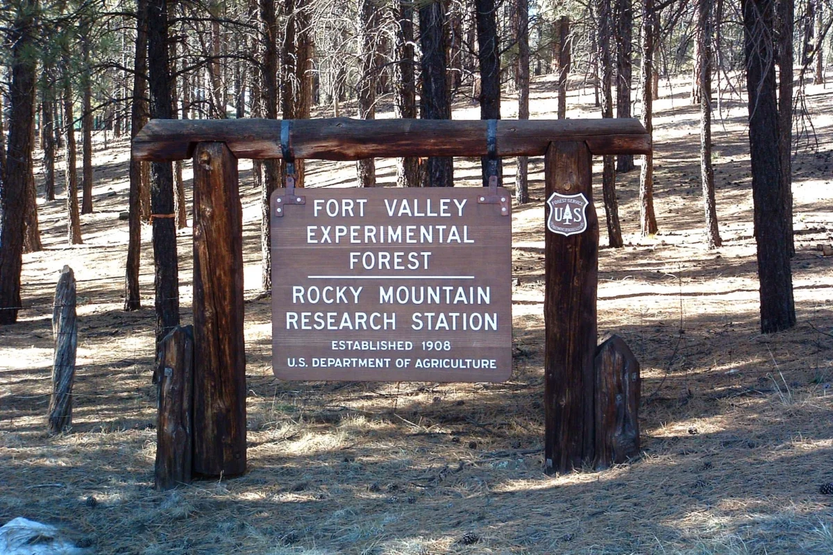 The Great Forest Purge: Inside the Battle for the Future of America’s Public Lands