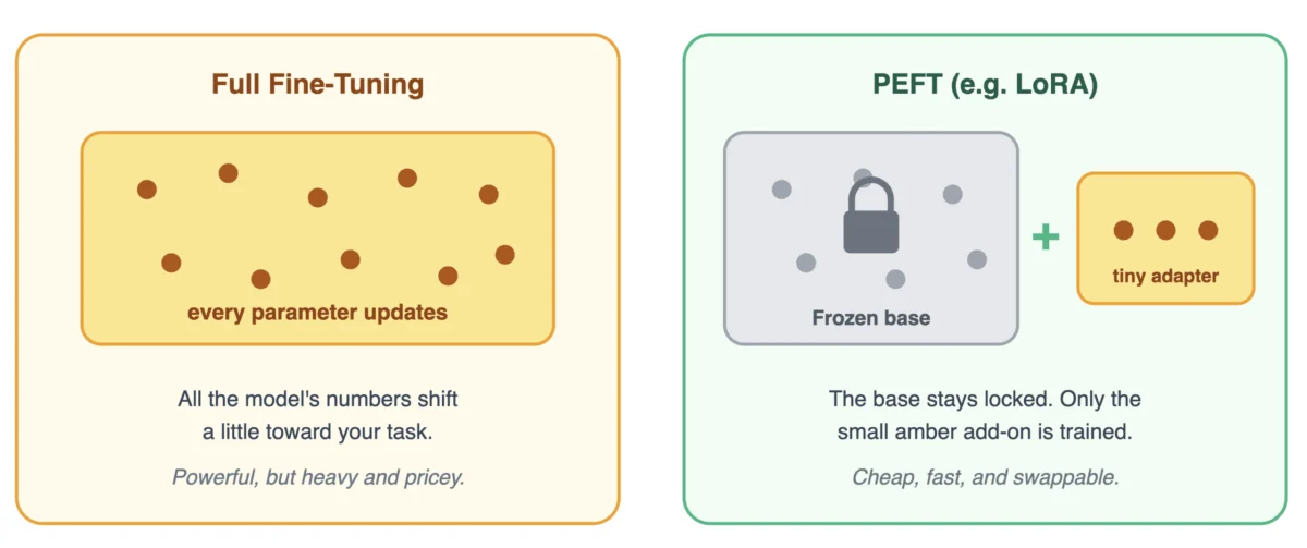 Decoding Fine-Tuning: How Foundation Models Master Specialized Skills