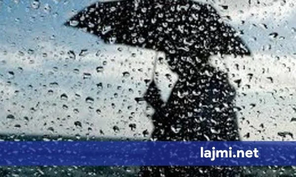 Unstable Weather Forecasted for Friday: Local Showers and Thunderstorms Expected Across the Region