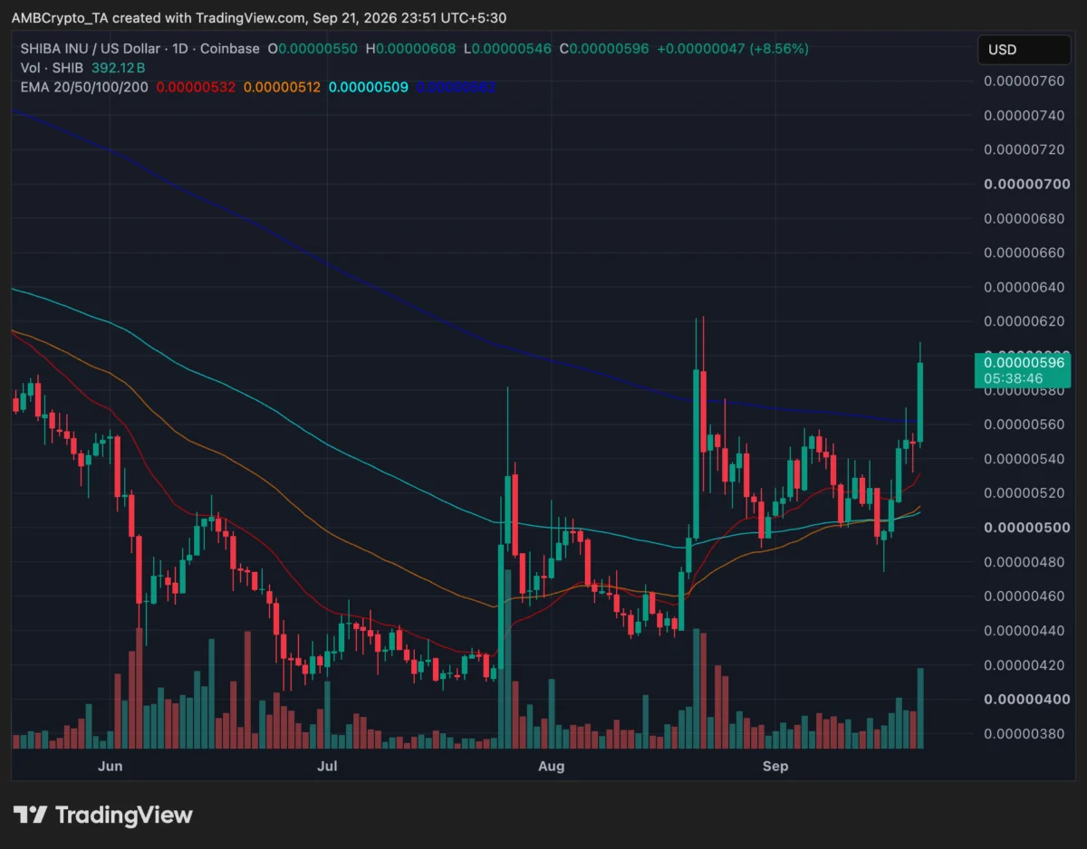 Shiba Inu Breaks Key Resistance: A Pivotal Moment for the Meme Coin Giant