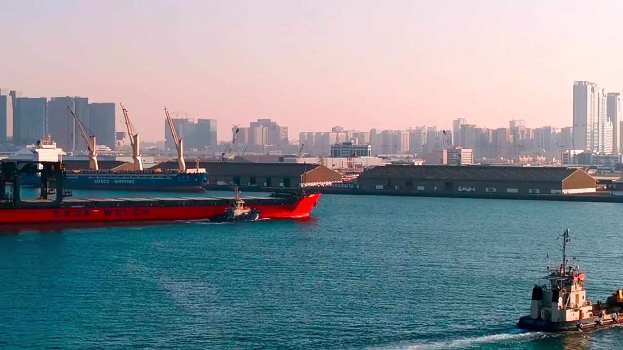 China’s Pivot to Green Maritime Logistics: Navigating the Challenges of a Decarbonized Future