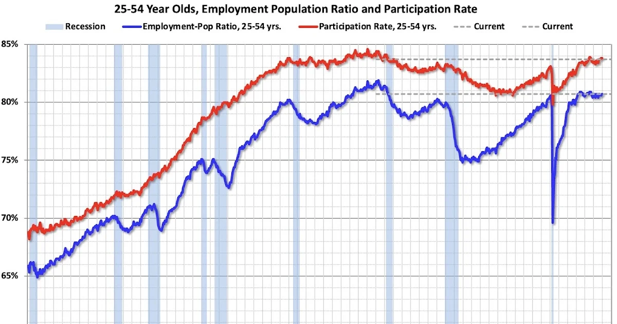 December Labor Market Review: A Cooling Trend Amidst Mixed Economic Signals