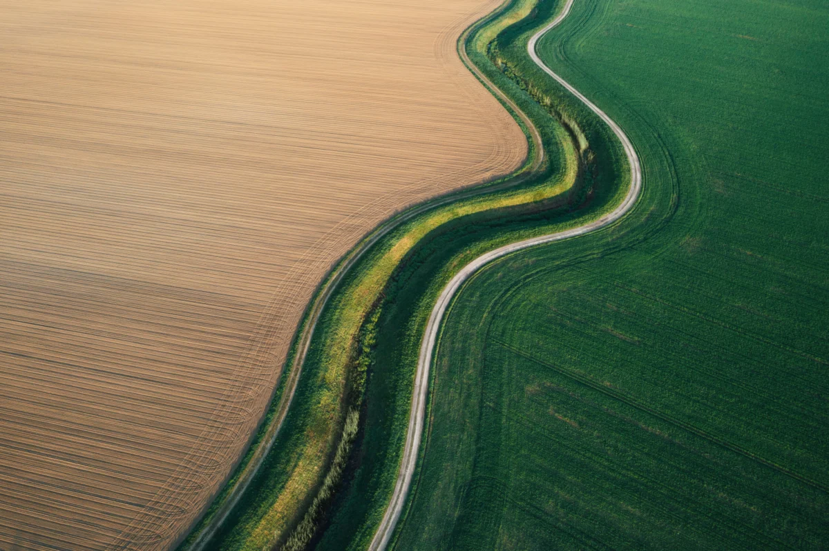 Securing the Global Plate: ICC Charts a Path Toward Resilient Food Systems Amid Geopolitical Turbulence
