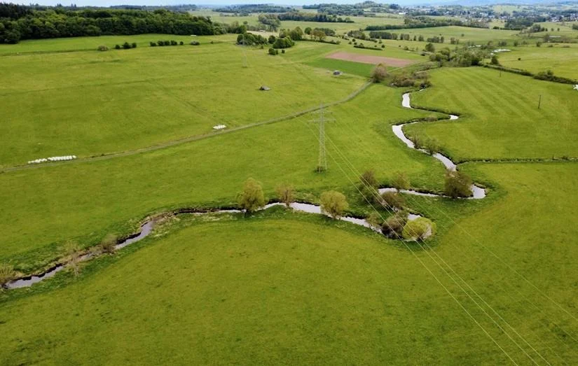 Tech Titans Unite: Amazon and Microsoft Launch Major Water Restoration Initiative in Germany