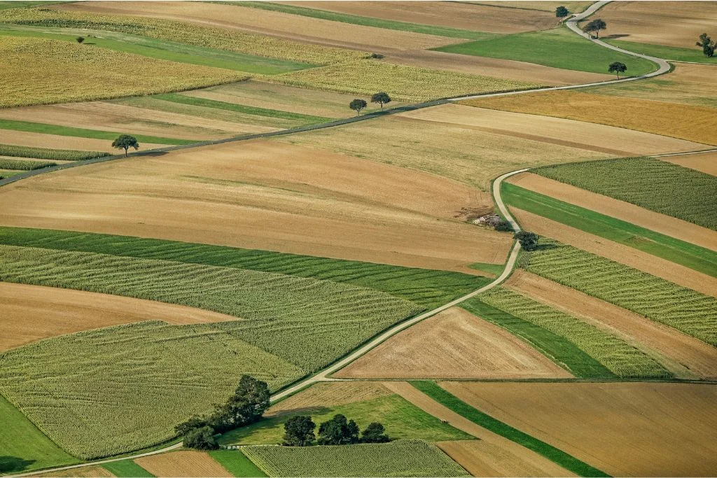 The Silent Crisis: Why Our Global Food Waste Culture is Costing the Earth