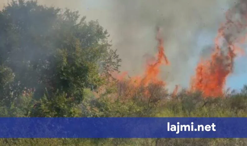 Tragic Blaze Claims Elderly Man’s Life in Mallakastër: A Community Mourns, Questions Arise Over Rural Safety